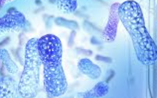 probiotic and prebiotic logistics and fulfillment 3pl