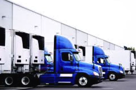 Cold Chain Logistics for Nutraceutical Brands